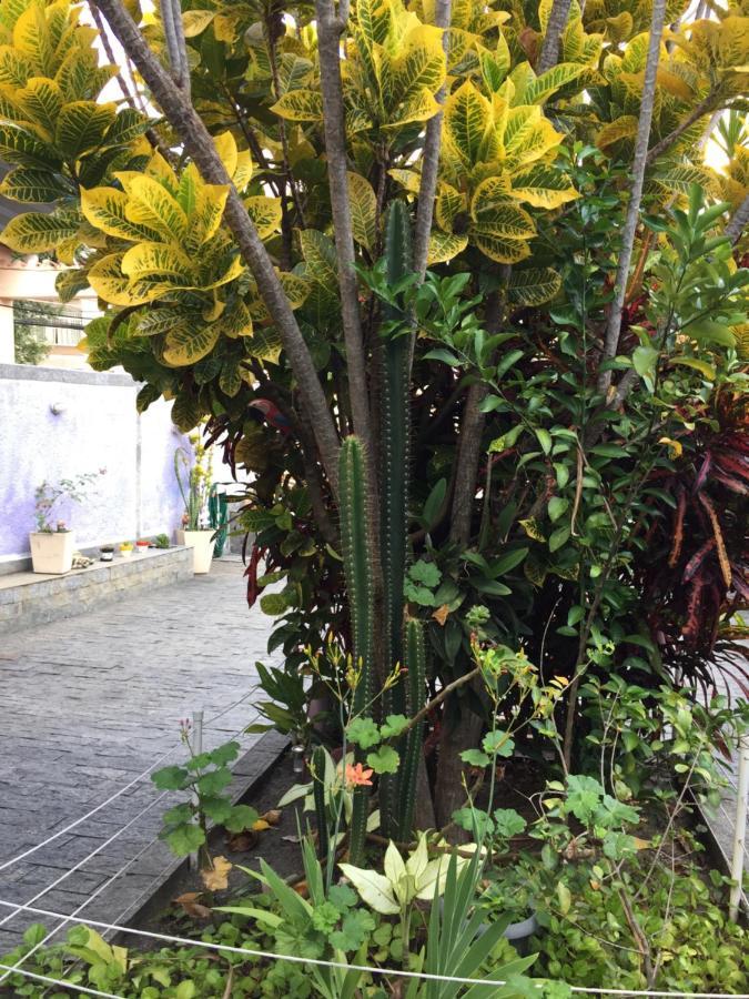 Casa Aconchegante Em Vila Valqueire 리오데자네이루 외부 사진